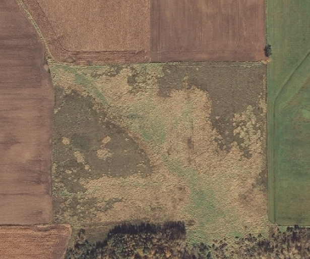 Overhead photo of grassland field between crop fields